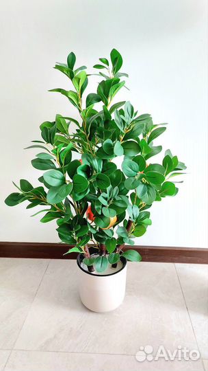 Искусственное дерево мандарин