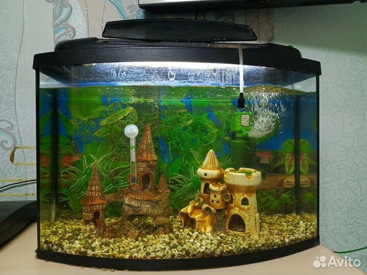Аквариум