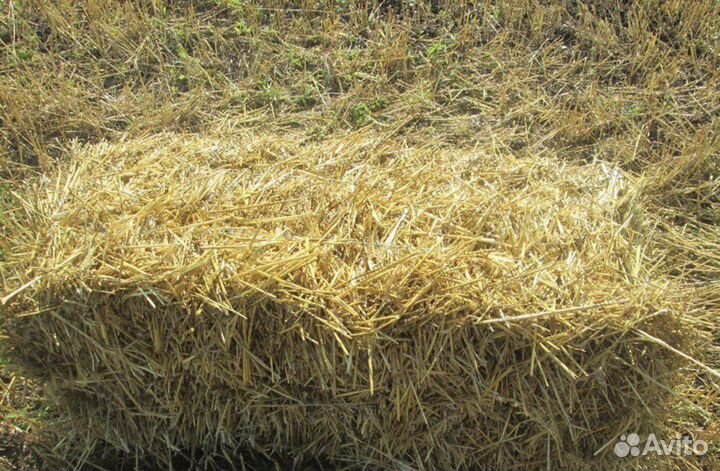 Солома в тюках