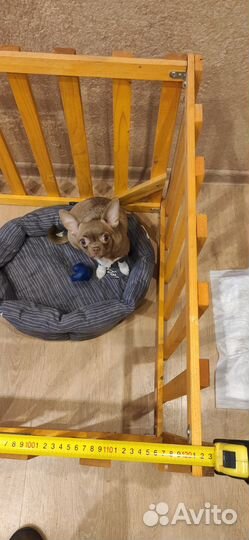 Вольер для собак домашний