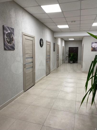 Офис, 28.25 м²