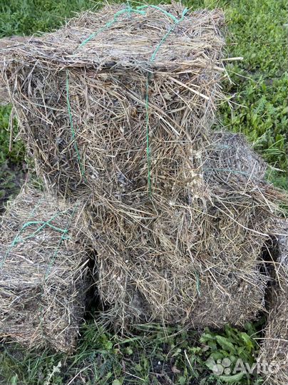 Сено в тючках