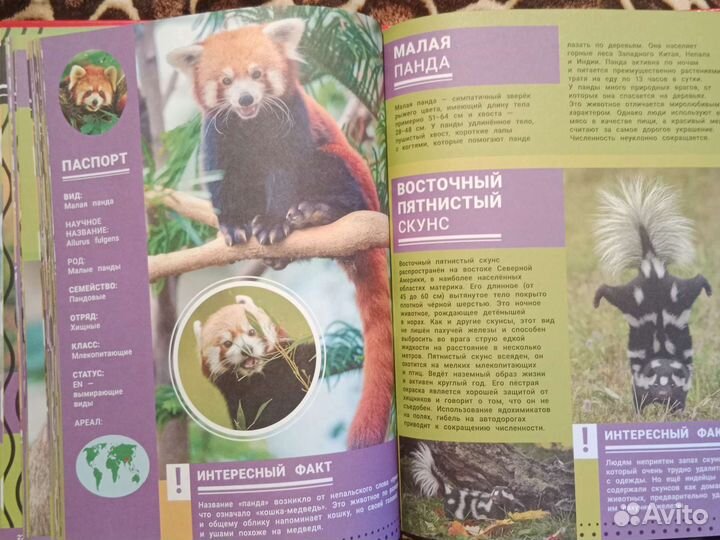 Детские книги, энциклопедия