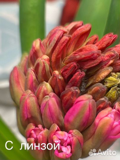 Линза для смартфона