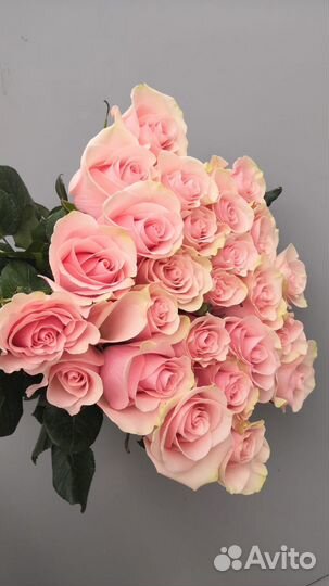 Свежие живые цветы в наличии опт и розница