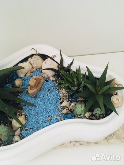 Флорариум композиция
