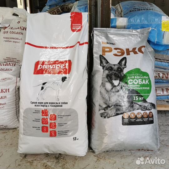 Сухой корм для собак