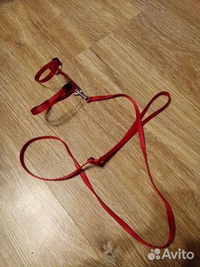 Когтеточка для кошек новая