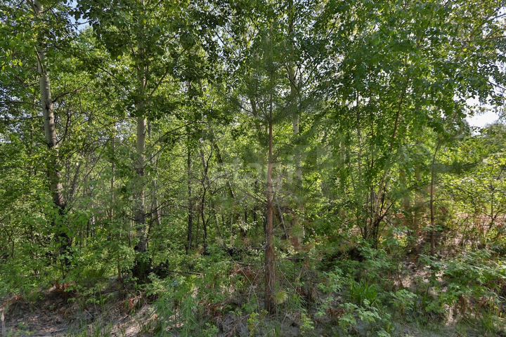 Участок 19,2 сот. (СНТ, ДНП)