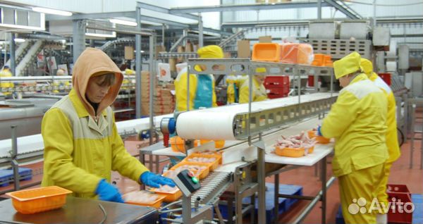 Обработчик(ца) на птицефабрику - вахта