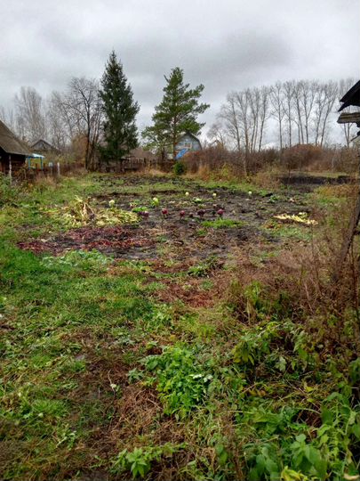 Дом 20 м² на участке 11 сот.