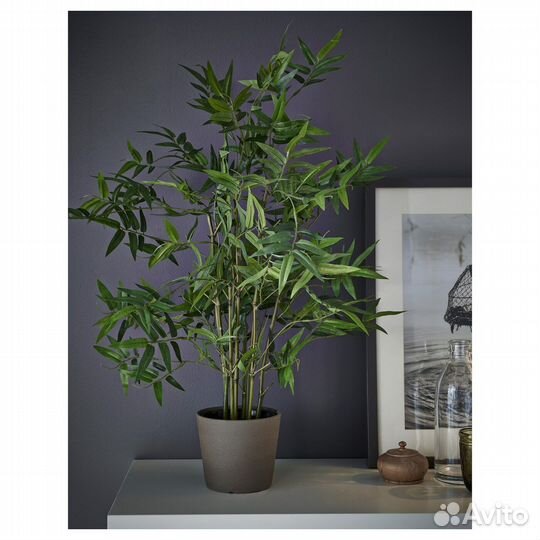 Искусственное растение в горшке Бамбук Фейка Икеа