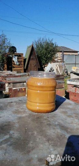 Мёд Алтайский