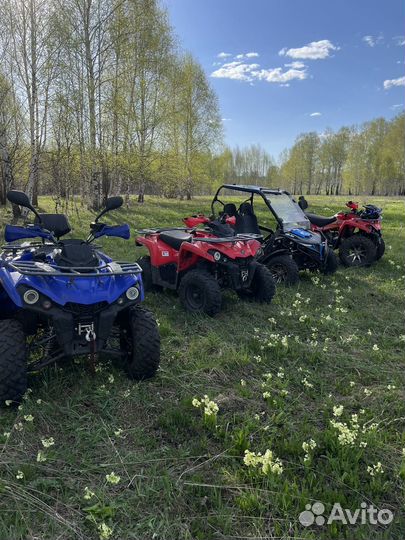 Прокат квадроциклов