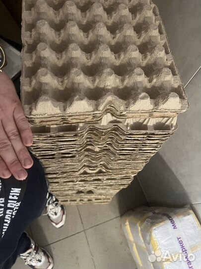 Лотки для яиц