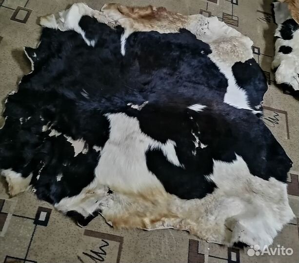 Шкура коровы