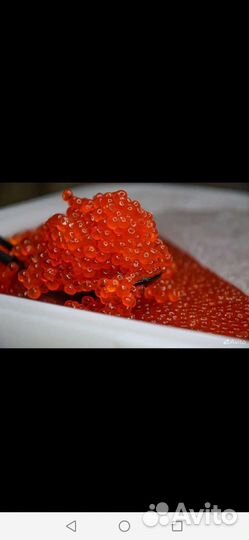 Икра красная в розницу