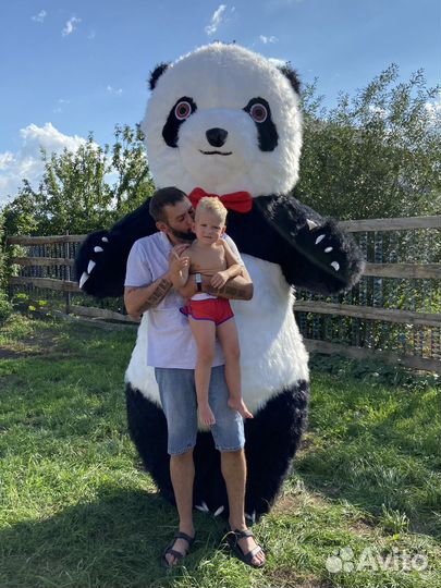Ростовая кукла Панда 2,6 м, медведь поздравление