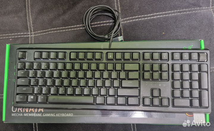 Razor ornata v2