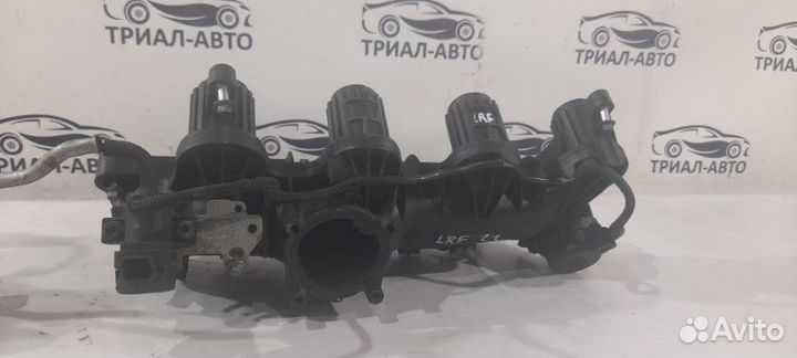 Freelander коллектор