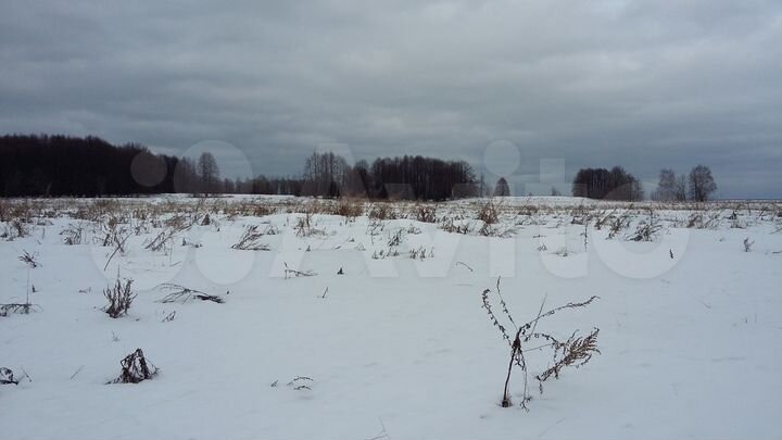 Участок 1,6 га (СНТ, ДНП)