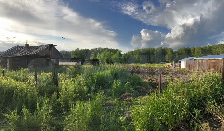 Участок 22 сот. (СНТ, ДНП)