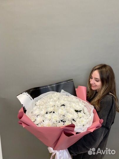 Махровая хризантема Эквадор