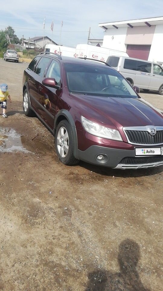Skoda Octavia Scout: фото владельца