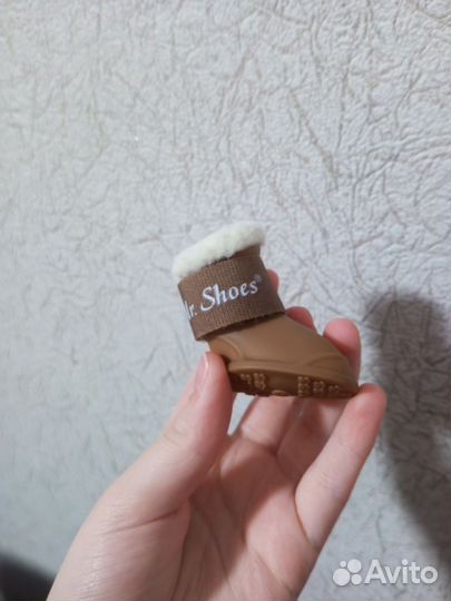 Обувь для собак