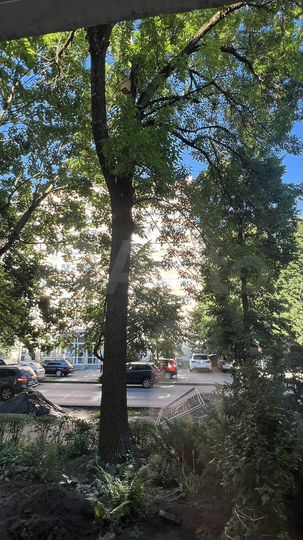 2-к. квартира, 53,2 м², 1/5 эт.