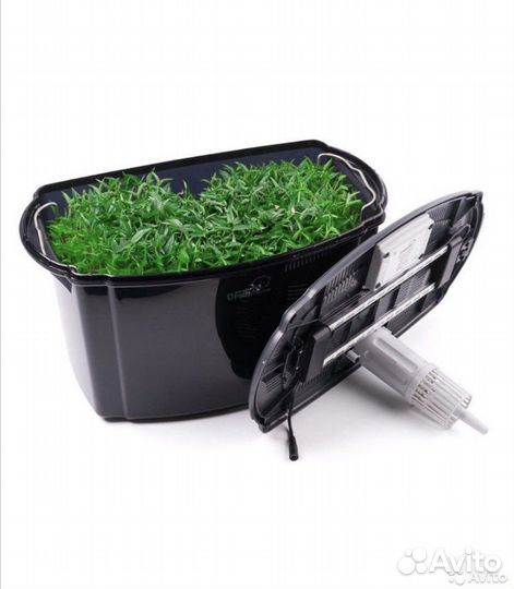 Проpащивaтель зелени и семян rаwмid Dreаm Sprоutеr