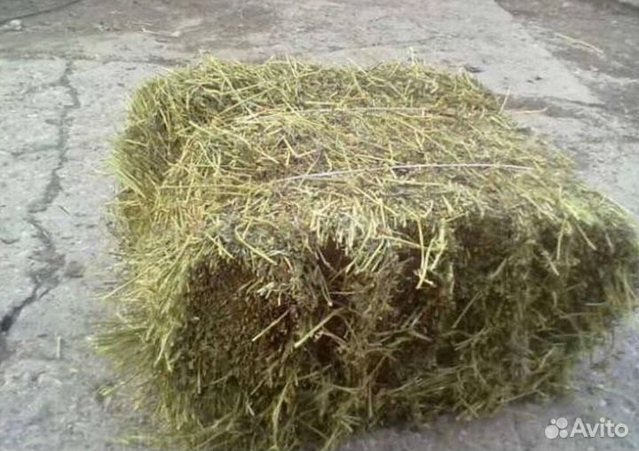 Сено и солома. Тюки, Брикеты,рулоны, мешки