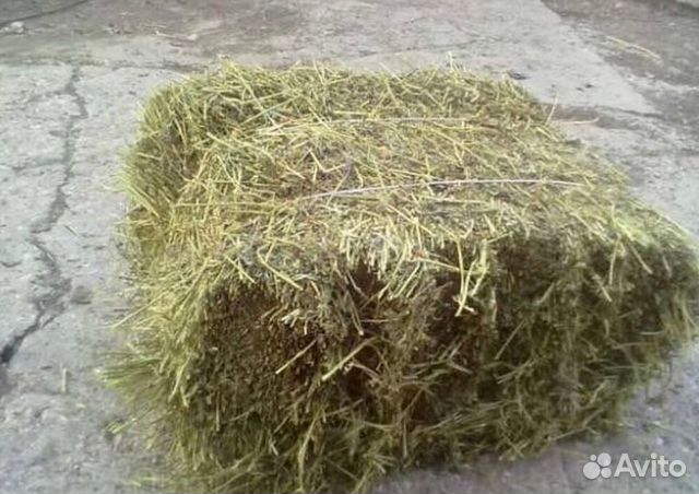 Сено и солома. Тюки, Брикеты,рулоны, мешки
