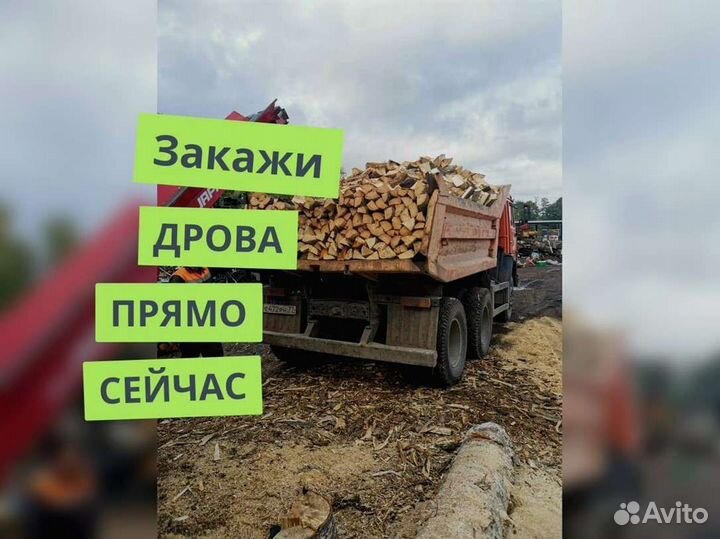 Дрова. Колотые