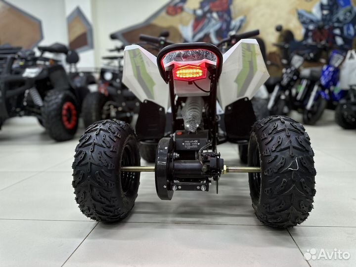 Детский квадроцикл Motax gekkon 1300W