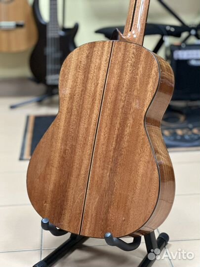 Гитара классическая массив кедра