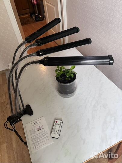 Идеальный свет для растений, фитолампы