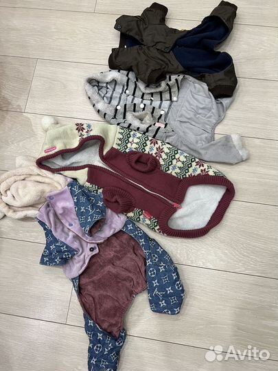 Костюмы для маленьких собак