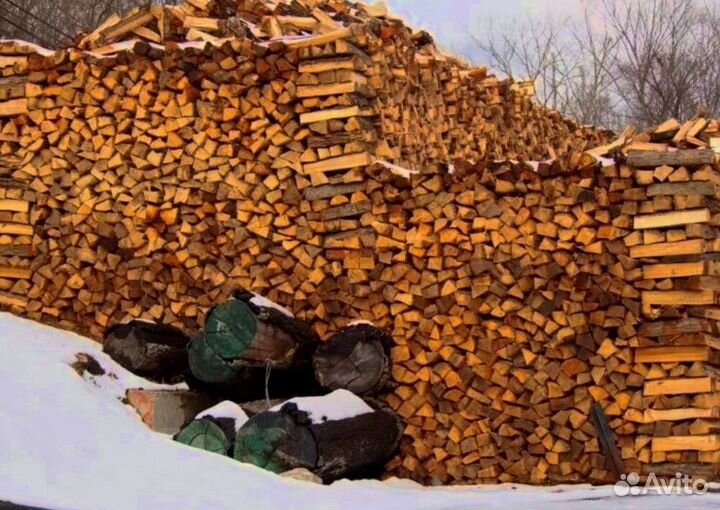 Дрова из Буратино