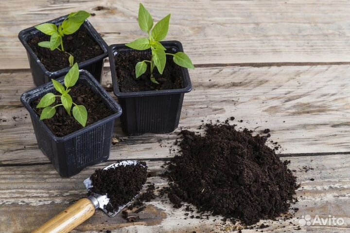 Почва из перегноя для рассады и много другого