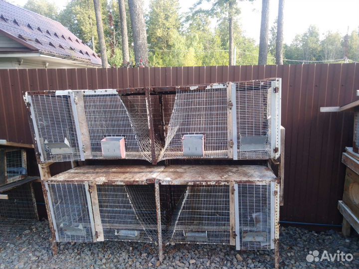 Клетка для кролика