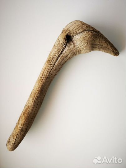 Коряга дрифтвуд в виде головы страуса