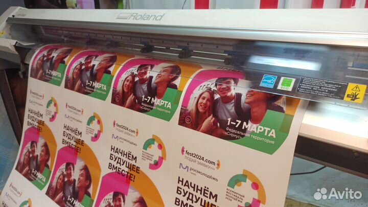 Epson dx4 печатающая головка