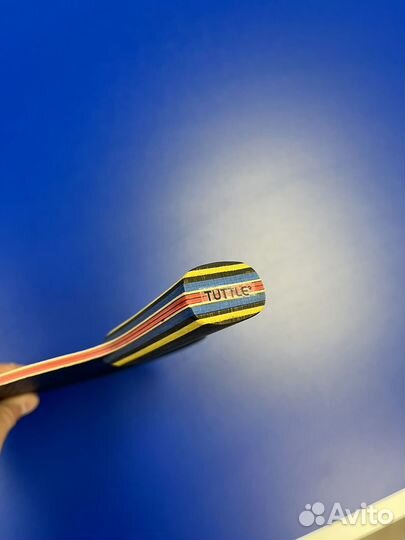 Основание для настольного тенниса Tuttle rainbow