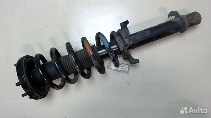 Амортизатор подвески Honda Accord 8, 2011