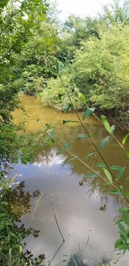 Участок 40 сот. (ИЖС)