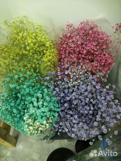 Гипсофила. Орхидея. Букеты и композиции