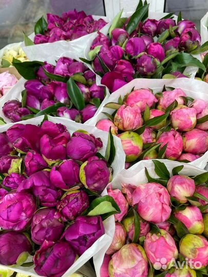 Цветы с доставкой из оптовой базы в розницу в дмд