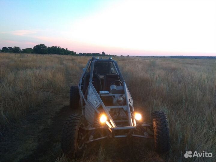 Багги барракуда