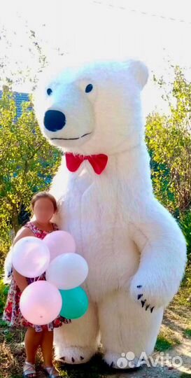 Белый Медведь